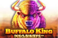 Play Buffalo King Megaways