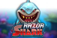 Play Razor Shark
